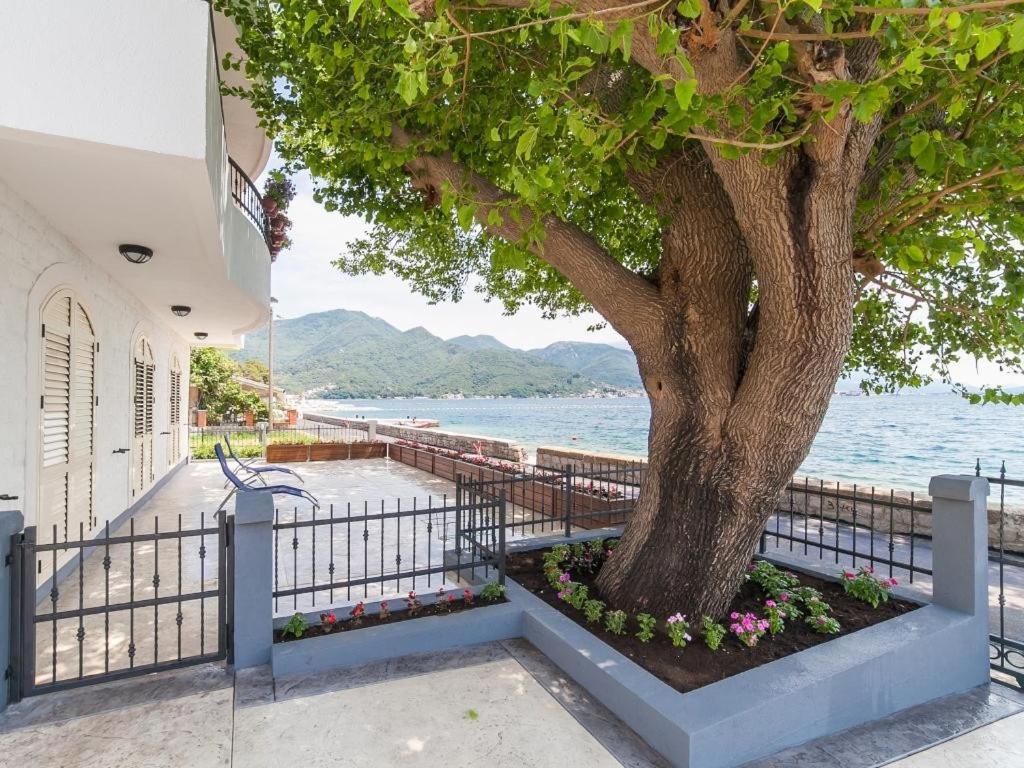 Apartments Balbo Биела Стая снимка